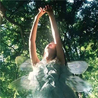 紧急呼救第五季